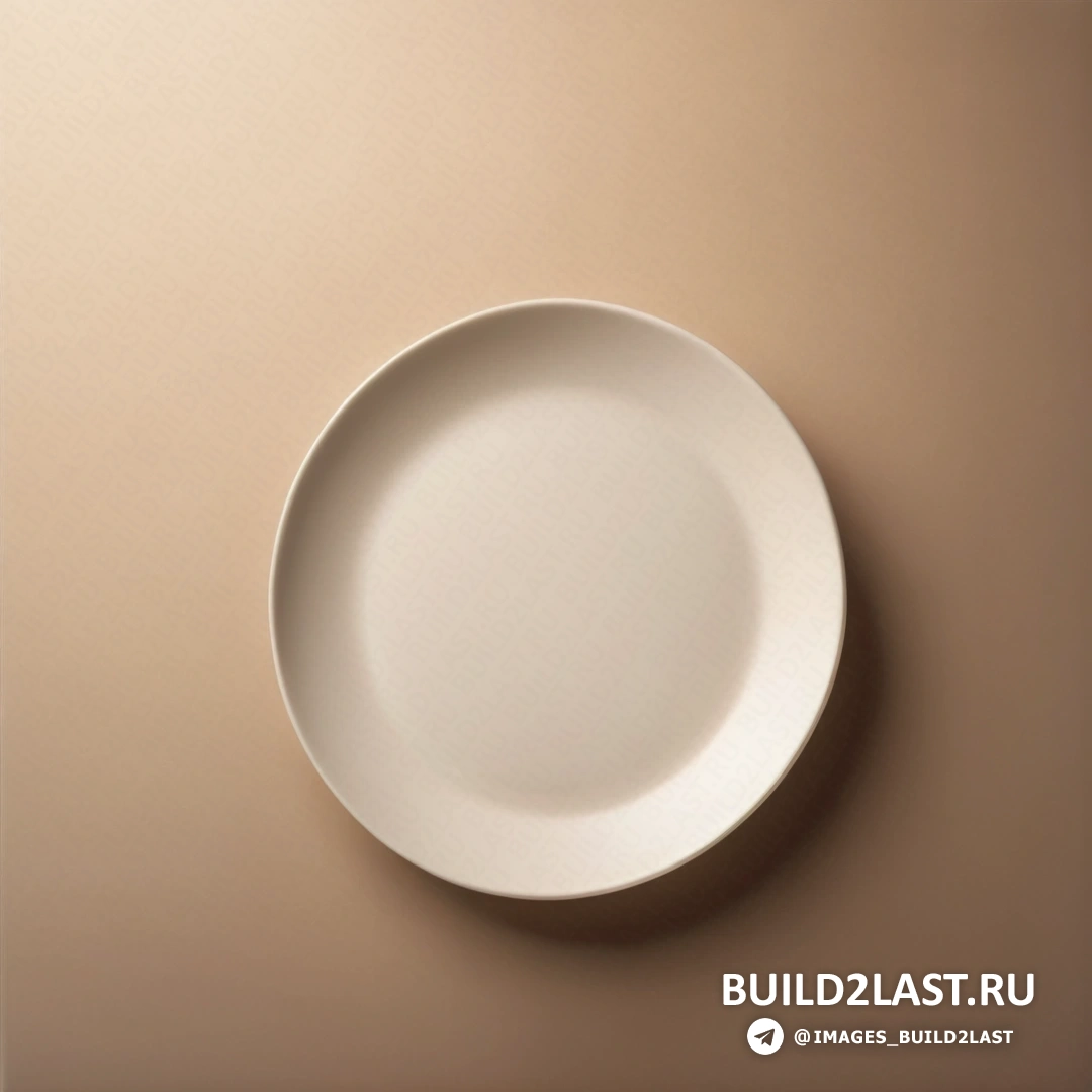 Минимализм - минималистичная живопись. Белая тарелка на коричневой стене на белом фоне.