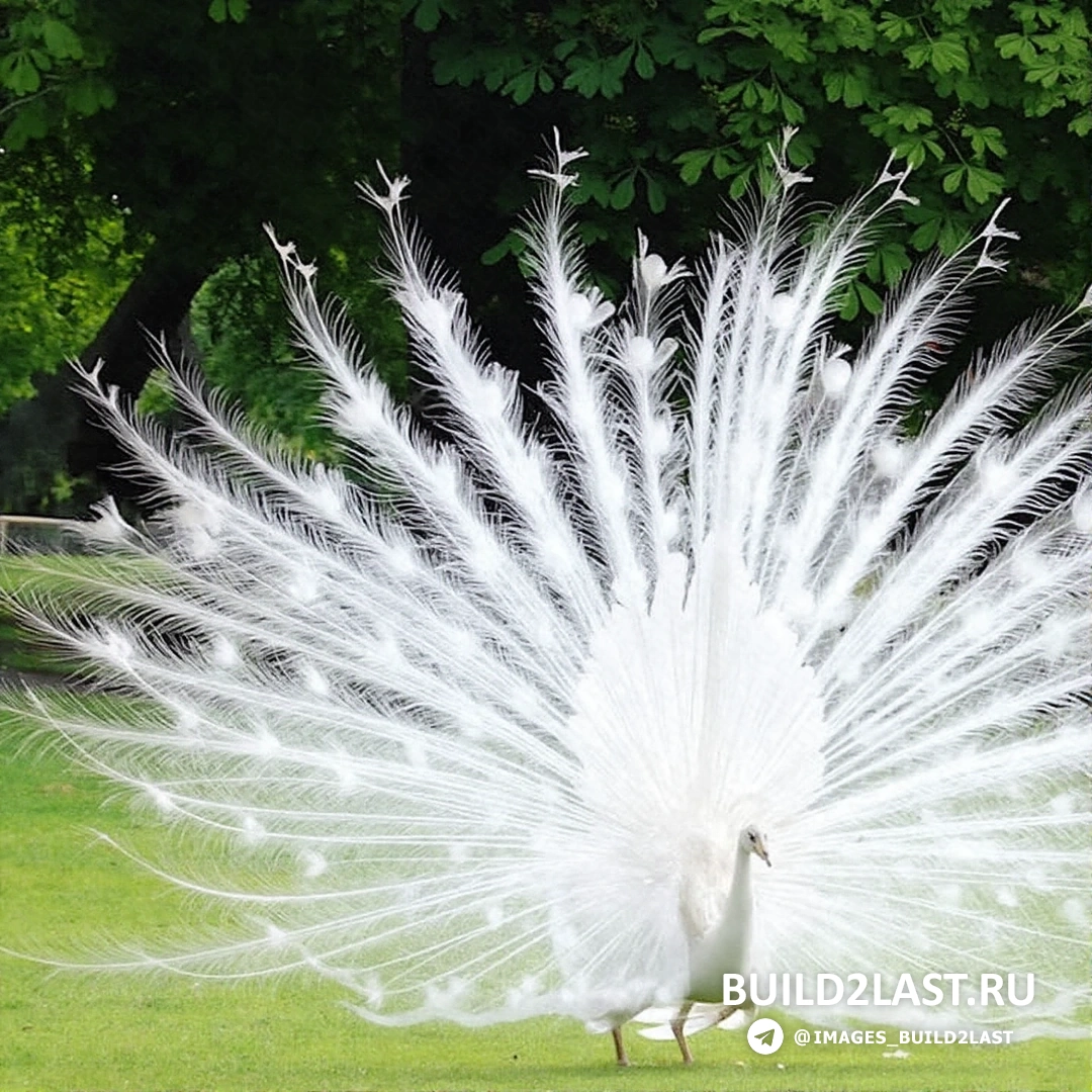 ���������� ��������� ����� �������� �� ����� ����.