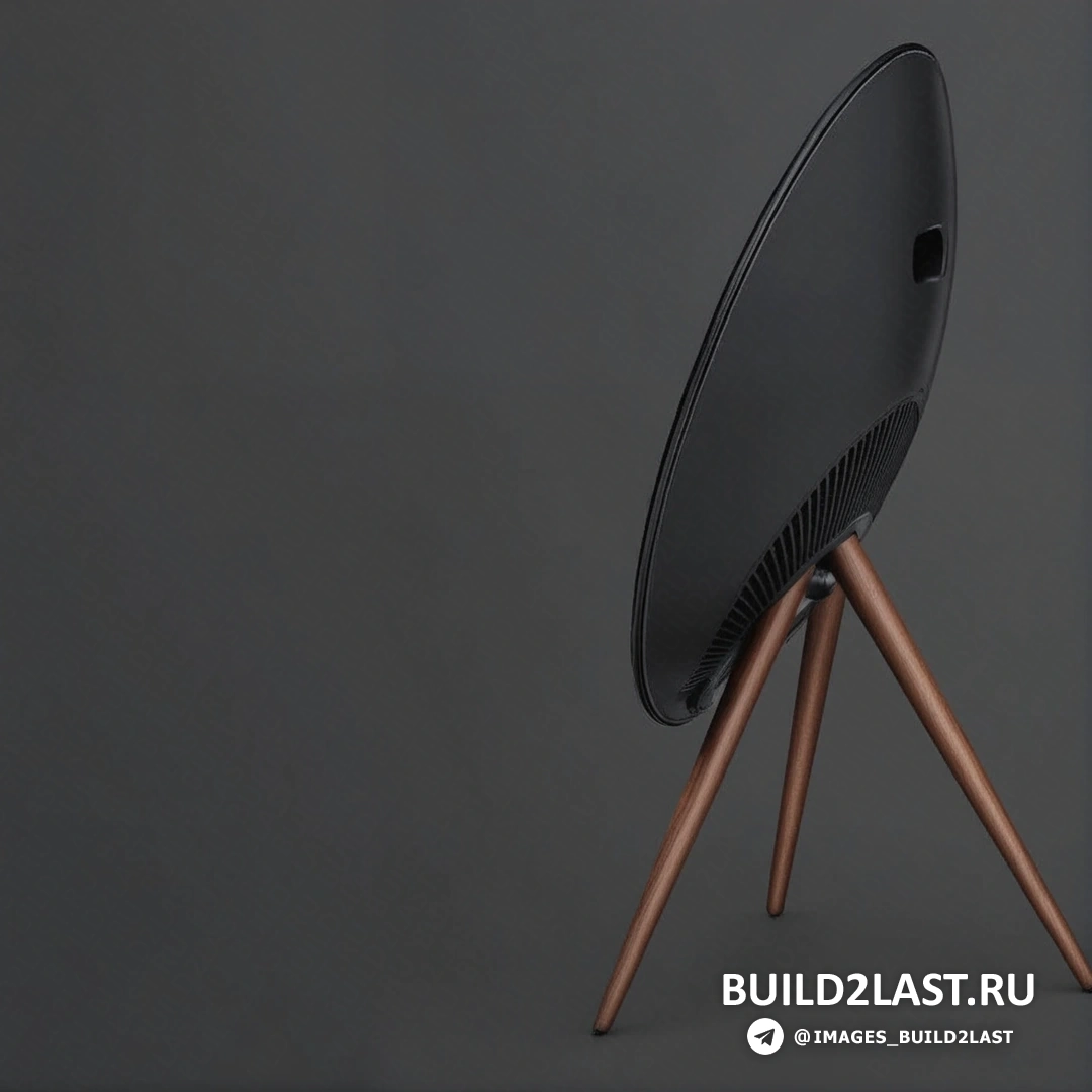    Beoplay A9     ,    ,   .