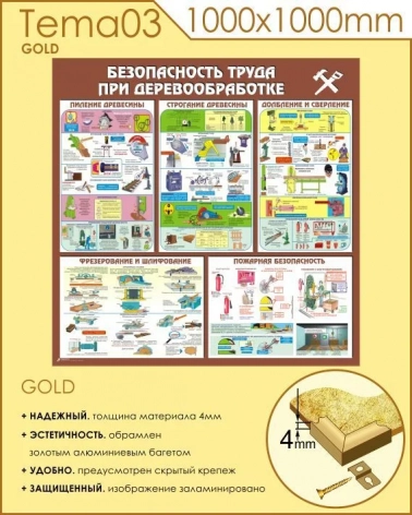      (Tema03-GOLD, 10001000 ,   )