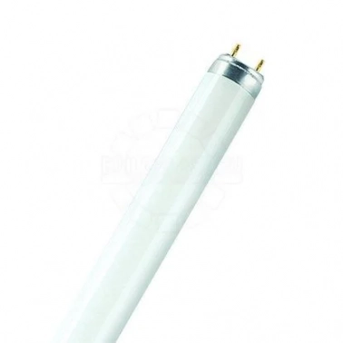 �������� � �������� ������� OSRAM, ����� �������������� OSRAM 18 �� G13 ������ ����