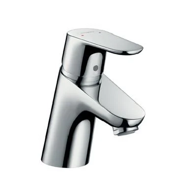 Hansgrohe Focus 10