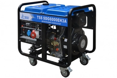   TSS SDG 6000EH3A