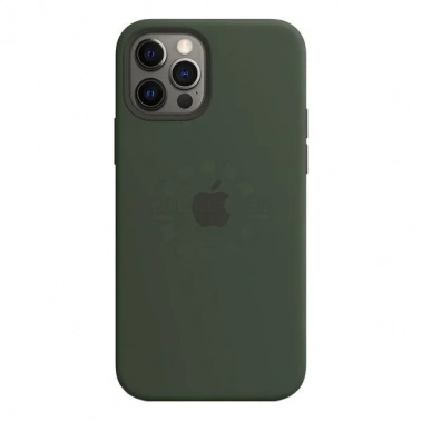    Apple iPhone 12  12 Pro MagSafe,  