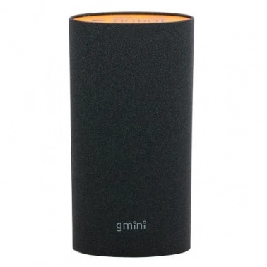    Gmini