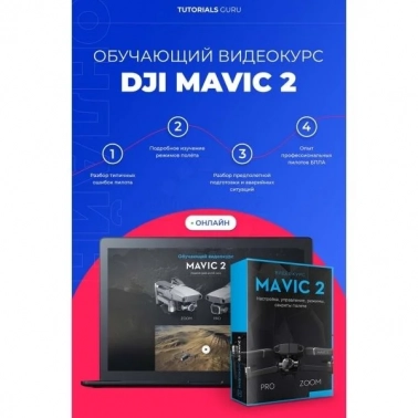    DJI, Mavic 2 online