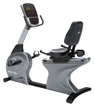 Vision FitnessR60