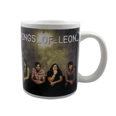  Kings Of Leon - Band Photo