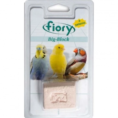 -   Fiory Big-Block   55, FIORY