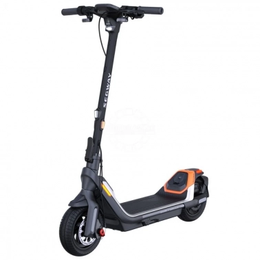  Ninebot By Segway KickScooter P65U