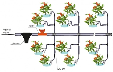Система капельного полива для клубники схема