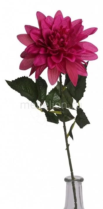  (70 c) Dahlia 316850,  