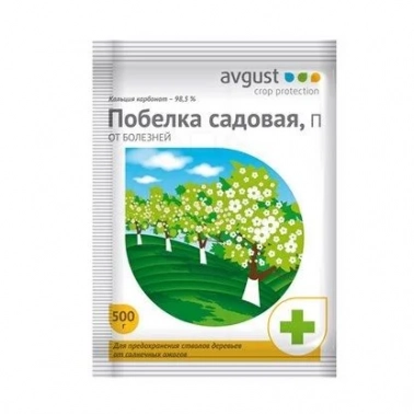    Avgust,      Avgust   500 