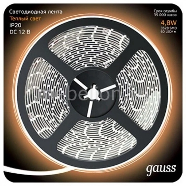   Gauss 312000105