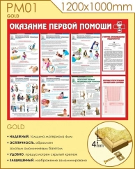    (PM01-GOLD, 12001000 ,   )
