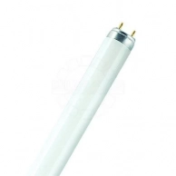 �������� � �������� ������� OSRAM, ����� �������������� OSRAM 18 �� G13 ������ ����