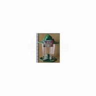 ���������� ��� ������������ � �������� ��� ���� �������� ��� ���� ���������� ������� 15�17�� � �������