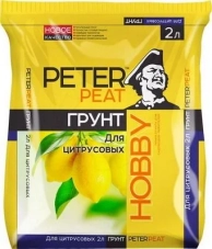  PETER PEAT, HOBBY  2