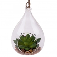 Флорариум с суккулентом Эхеверия Гармса, размер: 12х9см, зеленый, Market Union Co., Ltd. в Орле