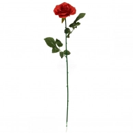 �������� ������������� ����, ������: h60��, �������, ���������, ������-�����, �������� ��������