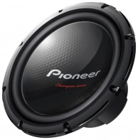 PioneerTS-W310