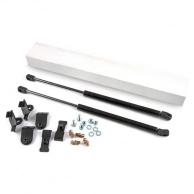 Газовые упоры капота Novline-Autofamily LADA Granta 2011-, 2 шт., KU-LD-GR00-02, Novline-autofamily