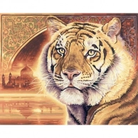 Раскраска по номерам Тигр, 40x50 см, Schipper
