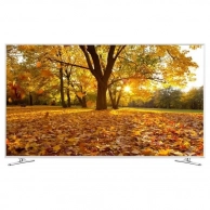 3D LED  Samsung