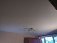 ��������� �������� �������� � �. ���
