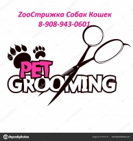 Zoo������� ����� �����
