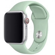 ������� TFN, ��� Apple Watch 38/40�� Silicone ������-���������