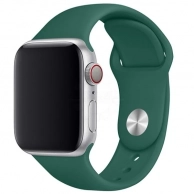 ������� TFN, ��� Apple Watch 38/40�� Silicone ������� �����, RS-232