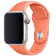 ������� TFN, ��� Apple Watch 42/44�� Silicone ���������