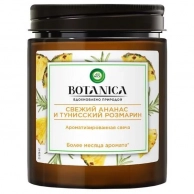 Хозяйственный товар AirWick, свежий ананас и тунисский розмарин, Средства гигиены