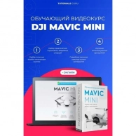 �������� ����� ���������� DJI, Mavic Mini online