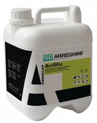 CAP Arreghini ACRILIFIX акриловый грунт концентрат с адгезионными и проникающими свойствами 1 л., CAP Arreghini ACRILIFIX акриловый грунт концентрат с адгезионными и проникающими свойствами 1 л., Cap Arreghini