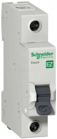   1P 25A C Shneiderelectric, Schneider Electric