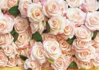 �������� Bellissimo ��������� ���� 2,8�2,0 � �-013, ��������