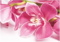 �������� Bellissimo ������� 2,0�1,4� �-044, ��������