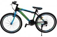 Велосипед Phoenix 24