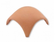 �������� �������-��������� ����� (Braas) ��������� ���������������� � �����