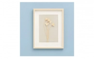 ����� � �������� (wowbotanica) ������� 32x42 ��., Wowbotanica