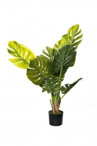 �������� ������������� � ������ (garda decor) ������� 100 ��., Garda decor