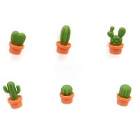  Qualy Cactus 6 