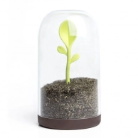    Sprout Jar, Qualy