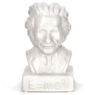 ������� Kikkerland Einstein � ������ ���������