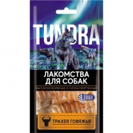 ��������� ��� ����� Tundra ������ �������