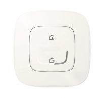 Главный беспроводной выключатель