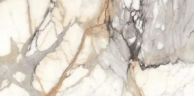  Seron Venato Carrara High 80x160 Glossy