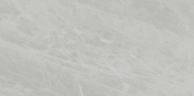  Ariostea Marmi Classici Gris de Savoie Soft 60x120